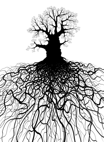 branches and roots image